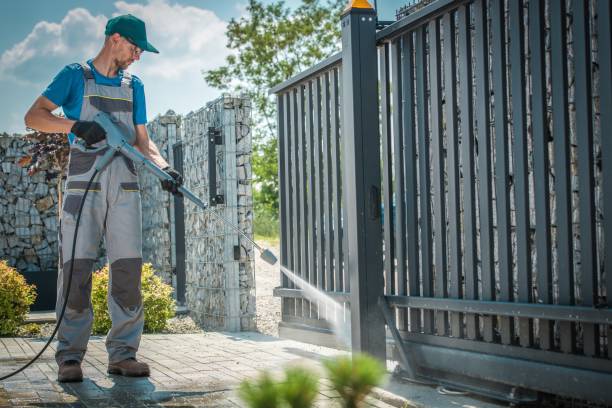 Best Roof Washing  in Dodge Center, MN