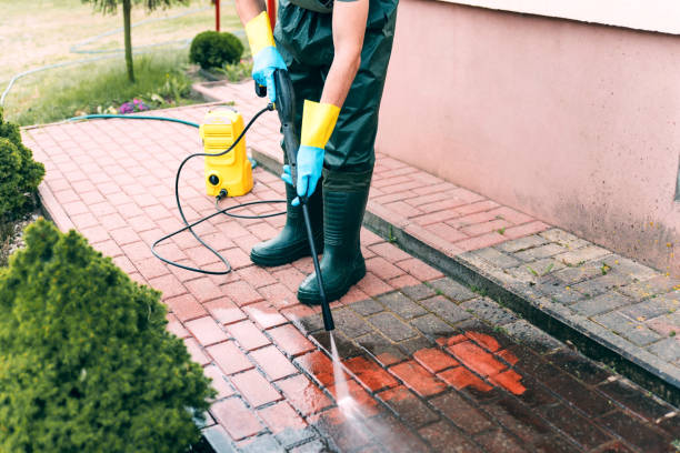 Best Driveway Pressure Washing  in Dodge Center, MN